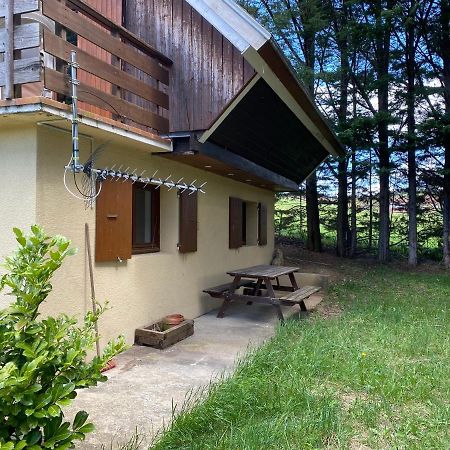 Appartement Dans Le Chalet La Chapelle-en-Vercors Eksteriør billede